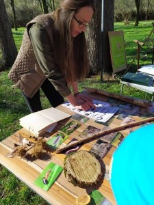1.jpeg